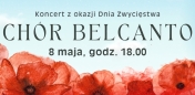 plakat górna część błękitna na dole kwiaty maki