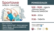 Grafika ozdobna