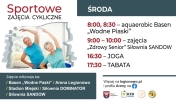 Grafika ozdobna