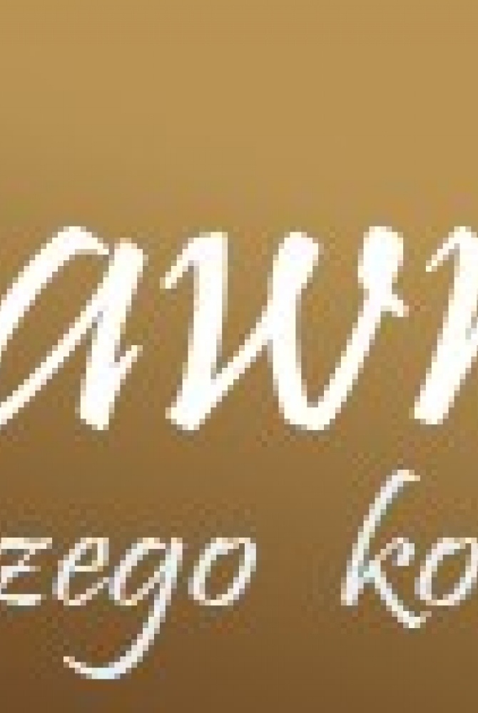 Baner i logo projektu: Prawnik Pierwszego Kontaktu