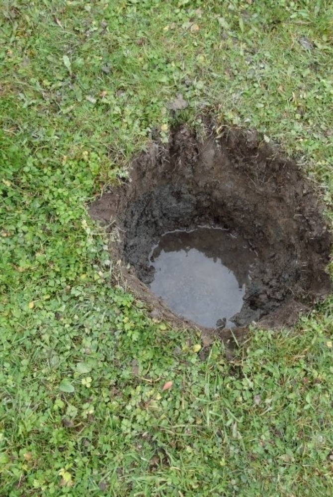 Zdjęcie: woda gruntowa, źródło: forumogrodnicze.info