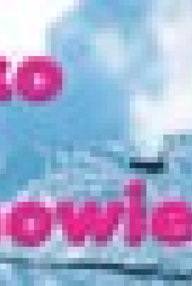 <b></b>
