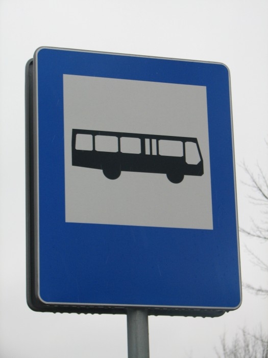 _fot_Kamil_Korbik_MojePiasecznoPl