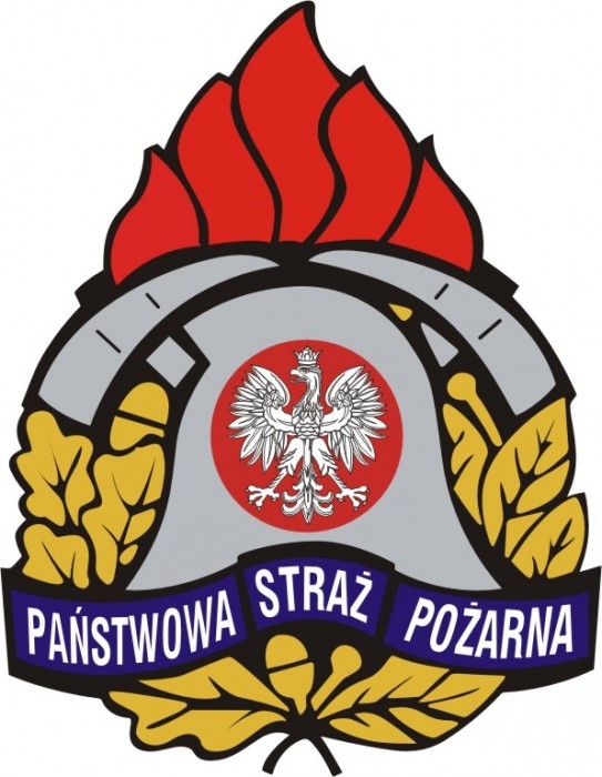 Logo PSP