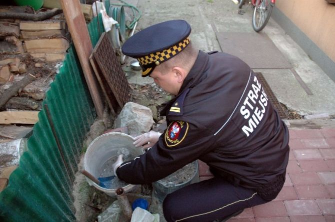 Na zdjęciu kontrola przydomowej kotłowni. Strażnik Miejski szuka dowodów nielegalnego spalania śmieci.