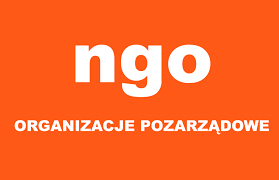 Na pomarańczowym tle biały napis ngo, organizacje pozarządowe