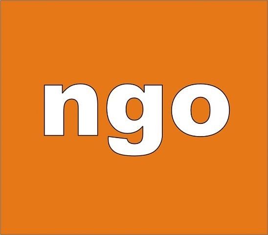 Logo Ngo - Organizacje Pozarządowe