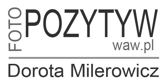 Pozytyw - Dorota Milerowicz