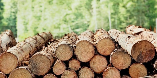 Fundusz naturalnej Energii 2017