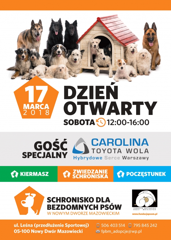Schronisko dla bezdomnych psów - dzień otwarty