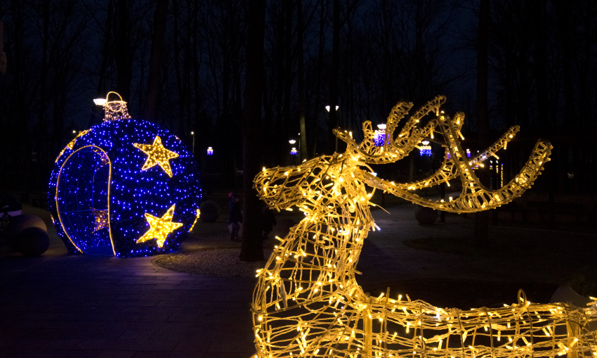 Iluminacje świąteczne na terenie Parku Zdrowia - renifer oraz bombka
