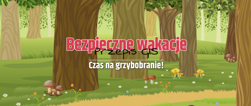 Na grafice napis: Przepis GIS - Czas na grzybobranie! W tle las i rosnące w nim grzyby.