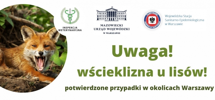 Plakat - wścieklizna u lisów!