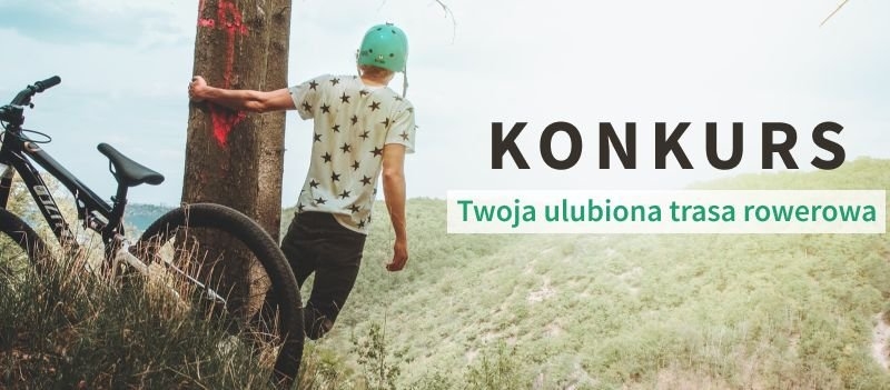 Chłopiec w kasku trzyma jedną ręką drzewo.