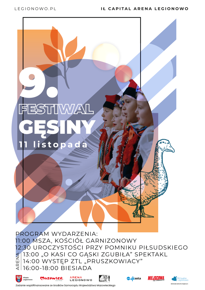 Grafika promująca 9. Festiwal Gęsiny