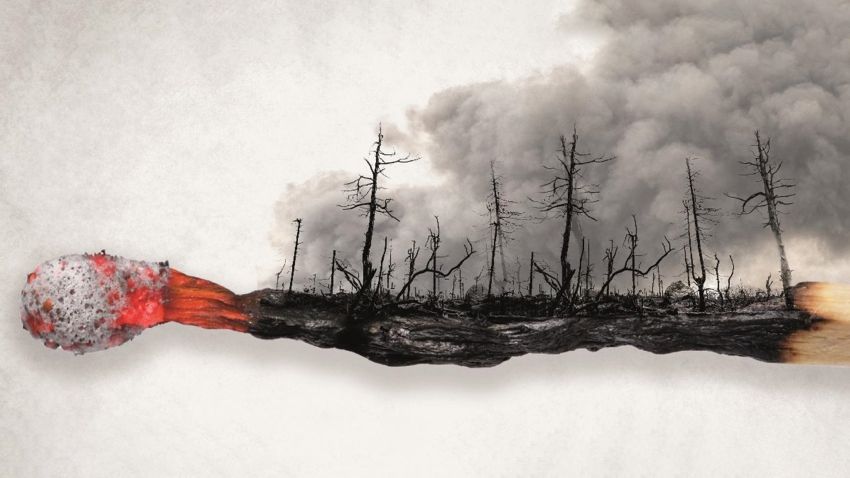 Grafika przedstawiająca żarzącą się, spaloną zapałkę; ze spalonej cześci wyłania się spalony las