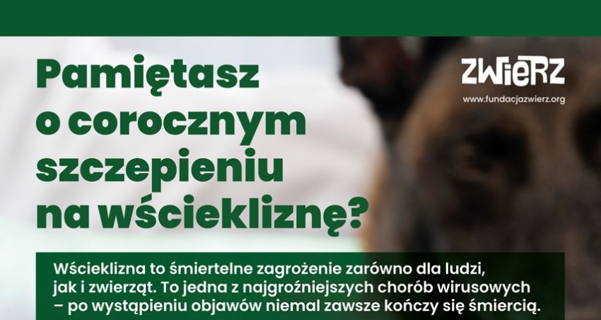 plakat z rozmytym zdjęciem psa z zielonymi napisami