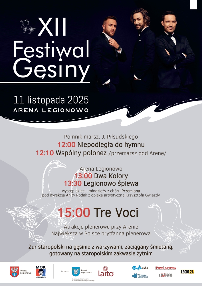 Plakat promujący