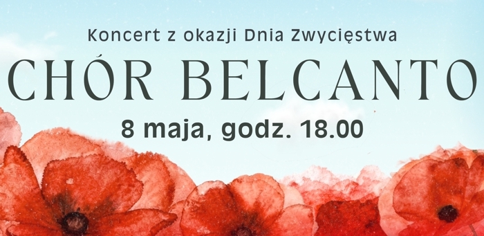 plakat górna część błękitna na dole kwiaty maki