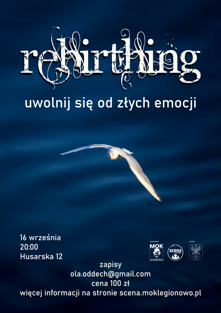plakat- granatowe tło, na środku leci mewa, na górze nazwa wydarzenia na dole opis wydarzenia