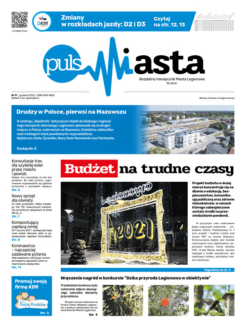 Puls Miasta Nr 11