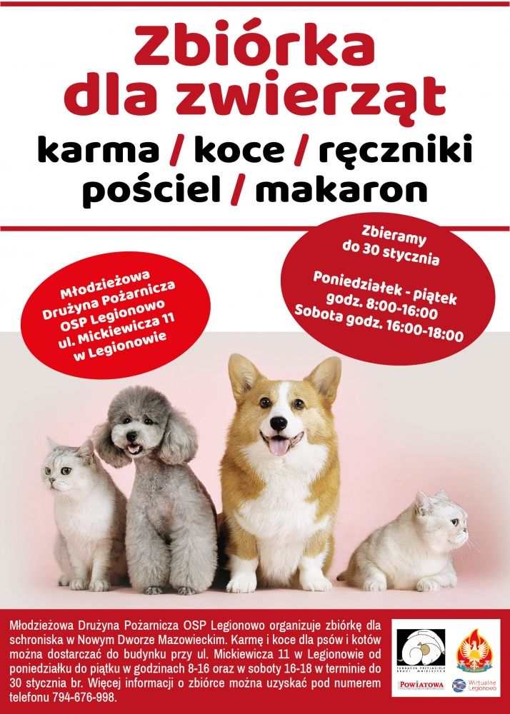 Plakat promujący zbiórkę dla zwierząt. Na plakacie dwa psy i dwa koty. Źródło grafiki osp-legionowo.pl